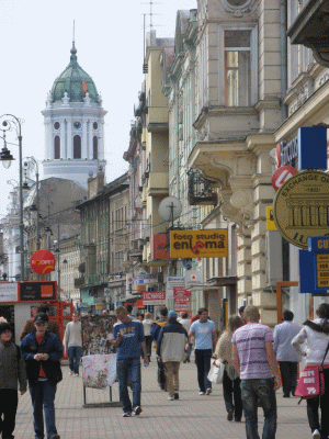 Autoritatile aradene cer Guvernului sa renunte la proiectul privind infiintarea polilor de dezvoltare urbana