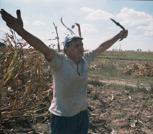 Agricultura pierde desp�gubiri de peste un miliard de lei
