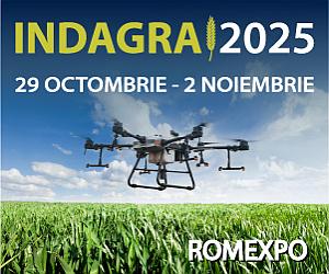 romexpo.ro romexpo.ro