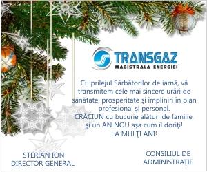 transgaz.ro