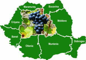 Peste 5.200 ha de vie în Podişul Transilvaniei