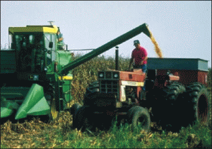 Agricultura românească are un potenţial de creştere de 60-80%