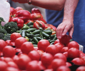 "InterAgro" devine producător de tomate