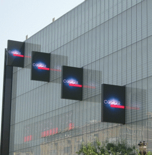 Profit în creştere pentru "Cocor"
