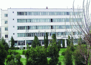 "Moldomin" în faliment cu rezerve de cupru de un miliard de euro