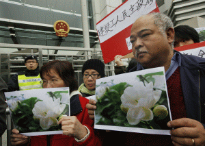 Protestatarii au adus poze cu flori de iasomie în timpul unei demonstraţii în faţa biroului de reprezentare chinez din Hong Kong, duminică 20 februarie 2011, urmând chemările pentru o "Revoluţie a Iasomiei", după un apel online misterios care chema oamenii să demonstreze în peste douăsprezece oraşe din China, se pare după modelul valului de proteste pro-democraţie din Orientul Mijlociu.