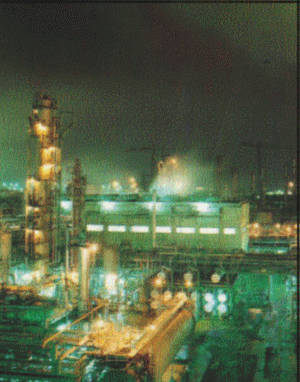 Privatizarea "Petromidia"