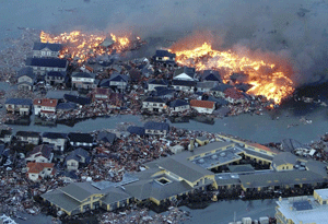 Prices of agricultural commodities fall after the earthquake in Japan