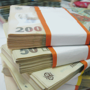 Finanţele au împrumutat 1,29 miliarde lei prin certificate la un an