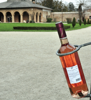 "Cabernet Sauvignon Rose" de la Ostrov, în ediţie limitată