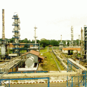 OIL Terminal Constanţa - profit brut în 2010 aproape dublu faţă de prevederile din BVC