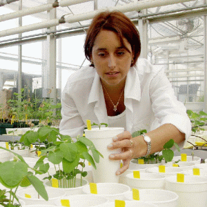Comisia Europeană va recupera 75 milioane euro, alocate pentru agricultura autohtonă