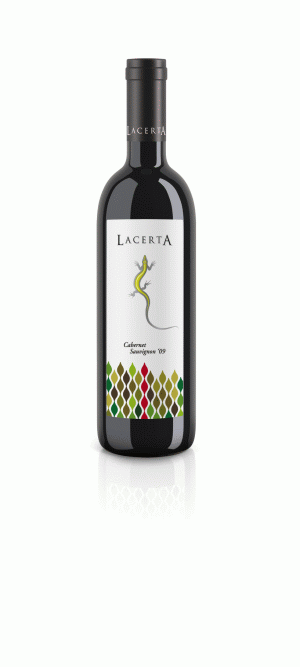 Lacerta Winery produce patru dintre cele mai bune vinuri din ţara noastră