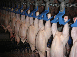 Agricola Bacău va exporta produse în Marea Britanie