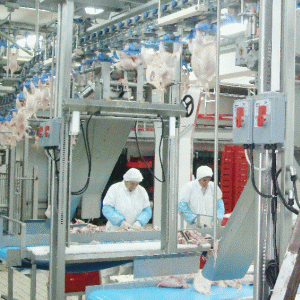 "Agricola" Bacău va investi 7 milioane euro, în acest an