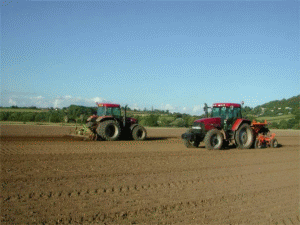 Numărul exploataţiilor agricole a scăzut în 2010 cu 14% faţă de 2002, la 3,9 milioane 