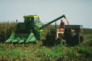 APDRP: România a accesat 30% din fondurile europene disponibile pentru agricultură