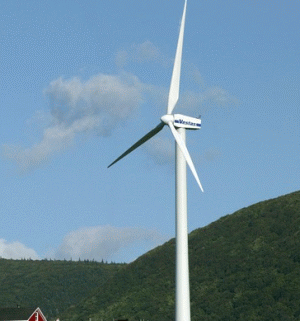 Construcţia de centrale eoliene ar putea creşte valoarea facturilor la electricitate cu 10%