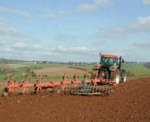 Agricultura în România este total dependentă de Dumnezeu.