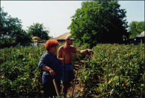 Sindicaliştii din agricultură vor picheta Ministerul Agriculturii din 15 august 
