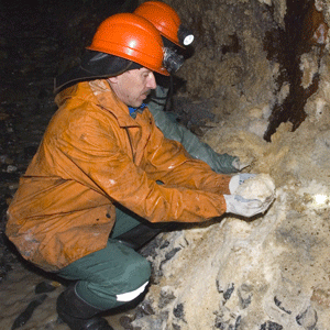 "Alrosa" şi-a majorat profitul cu 420%