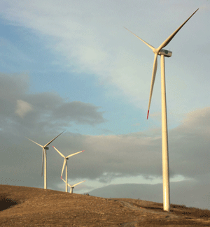 Un nou parc eolian al "Enel" în România este operaţional