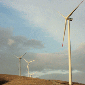 Fondul First Reserve şi Renovalia Energy dezvoltă proiecte eoliene în România