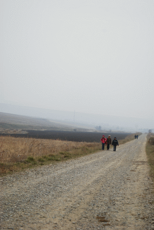 World Vision România lansează campania "Eu cum ajung la şcoală?"
