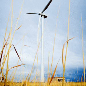 Doi acţionari ai dezvoltatorului imobiliar belgian Bel Rom vor să intre pe piaţa de energie eoliană