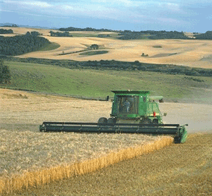 Preţul la "Ameropa Grains", stabilit pe baza evaluării veniturilor pe cinci ani