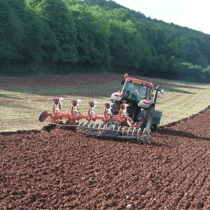 Statul va subvenţiona cu până la 5% dobânzile la creditele contractate de agricultori anul trecut