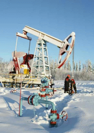 Petrolul a fost cea mai bună investiţie în februarie