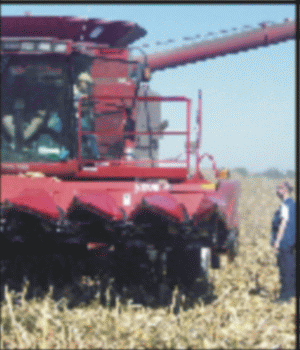 Din "Grânarul Europei", ţara noastră a devenit importator net de produse agricole