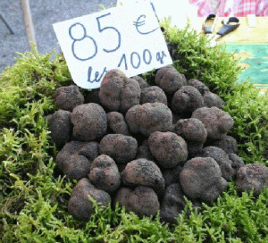 Oszkár Fekete: 2.000 euro - preţul unui kilogram de trufe albe 