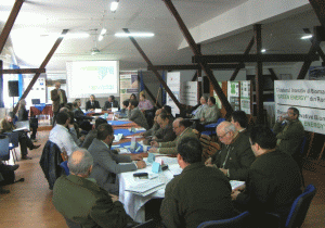 Workshop regional privind valorificarea biomasei forestiere din Regiunea Centru