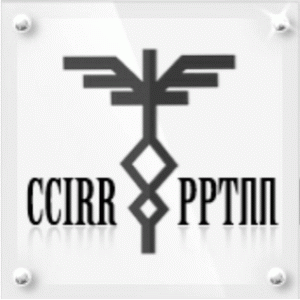 The strategy of the Romanian-Russian Chamber of Commerce and Industry for the 2009-2015 period