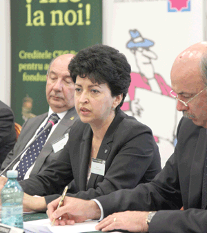 Cele mai multe credite - destinate cofinanţării proiectelor europene