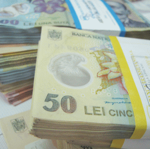 Commerzbank: Întârzierea privatizărilor din cauza disputelor politice ar putea afecta leul