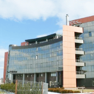 Oferta secundară de la Transgaz, impulsionată de Guvern