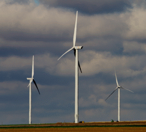 The Chinese are interested in investing in agriculture, IT, infrastructure and energy