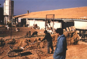 Rusia trebuie să menţină taxa zero pe profitul agricultorilor