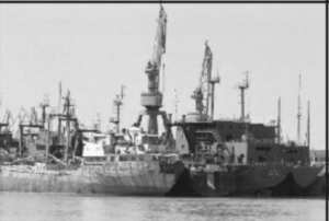 "China Shipping România" va înregistra o creştere cu 50% a afacerilor în 2007