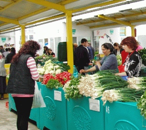 Sorin Minea: 2012 could be the year of bankruptcies in the food industry