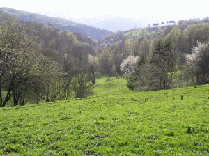 Un nou zăcământ la Roşia Montană-Bucium