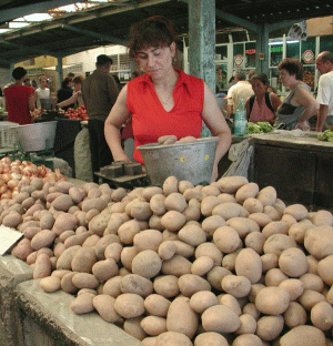 Deficitul din agricultură se va adânci, în 2013