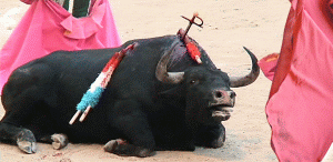 Insemnul heraldic al României, îngenuncheat în Spania.