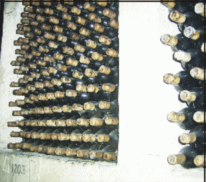 "Vinexport" Focşani estimează, anul acesta, afaceri de 50 milioane lei