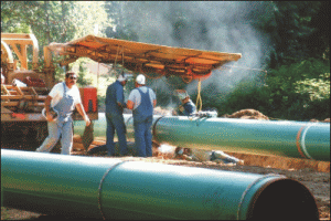 Start în bătălia pentru 10% din "Transgaz"