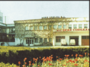 Serele din Codlea - scoase la vânzare pentru aproape 8 milioane de euro