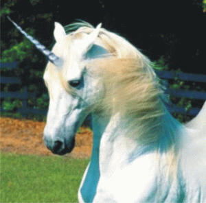 Care este diferenţa dintre unicorni şi multiplicatorii fiscali?